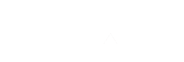 CEO.CA logo