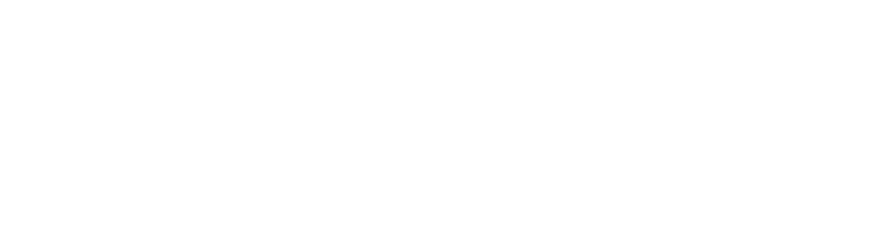 DNOVO logo